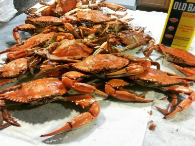 Things To Do Gary Howard Seafood 